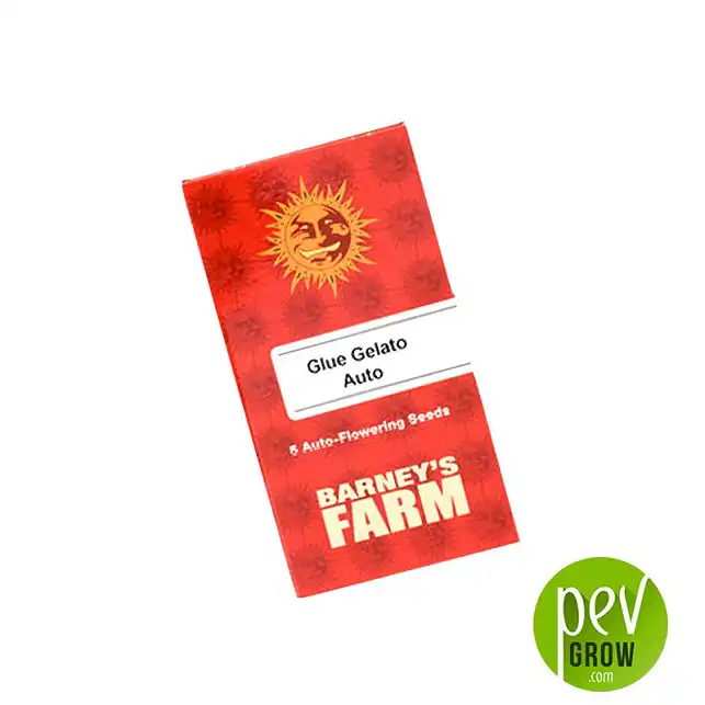 Glue Gelato Auto - Image 2